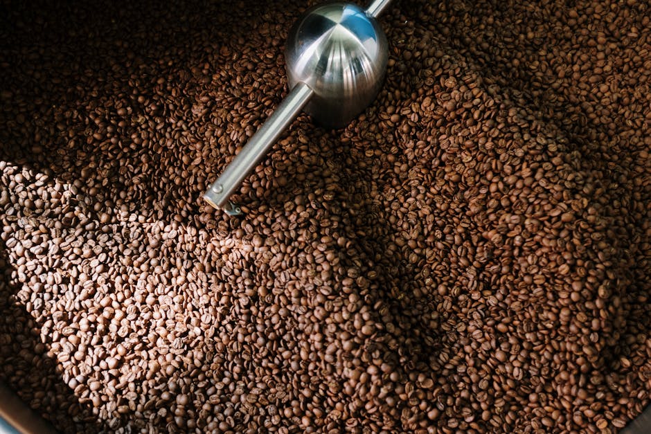 Dubai roastery reviews 2026
